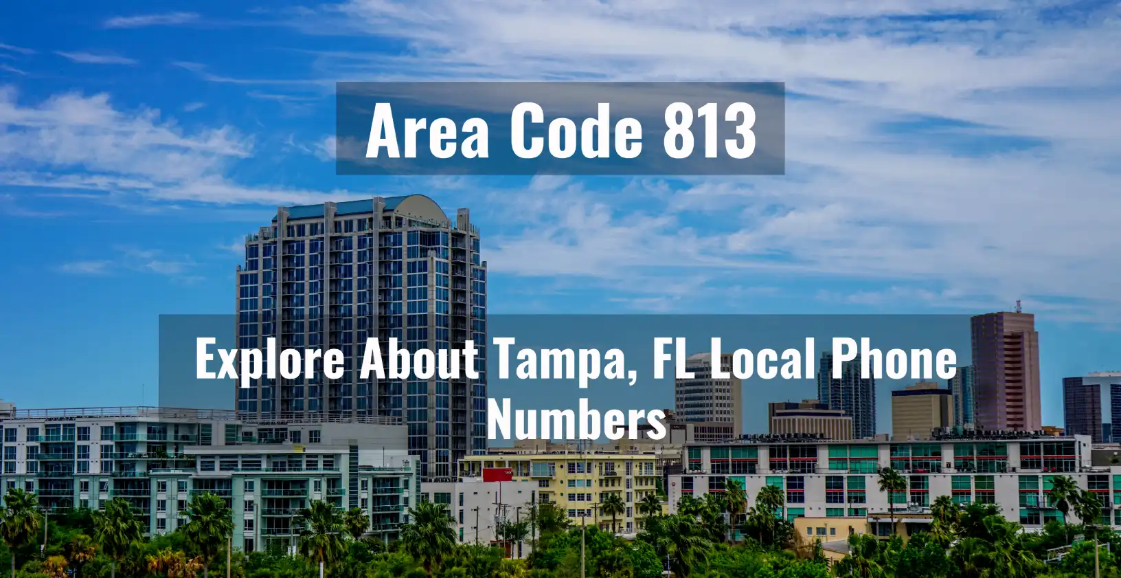 813 Area Code- Explore About Tampa, FL Local Phone Number